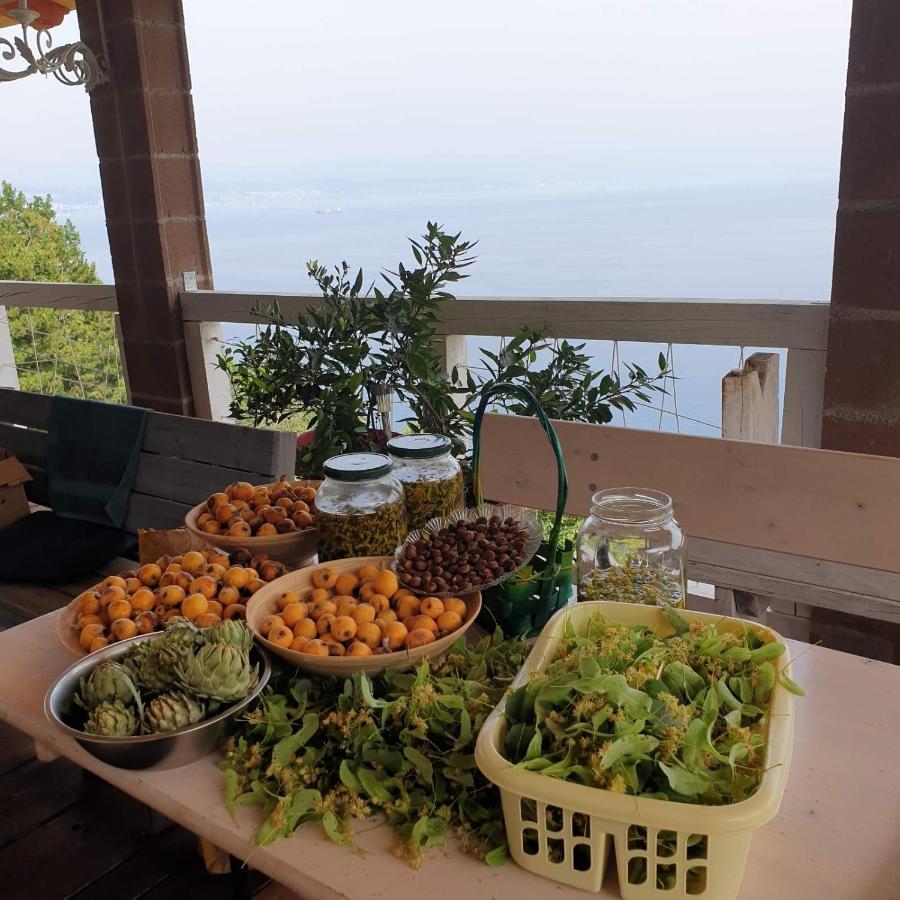 Tulisevica Mary'S Gardenヴィラ エクステリア 写真