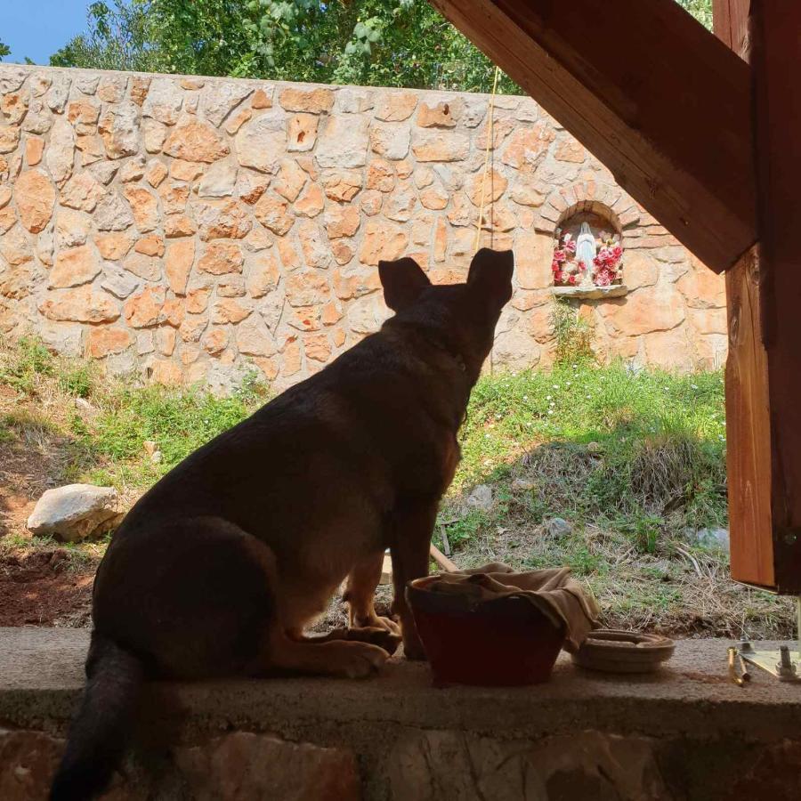 Tulisevica Mary'S Gardenヴィラ エクステリア 写真