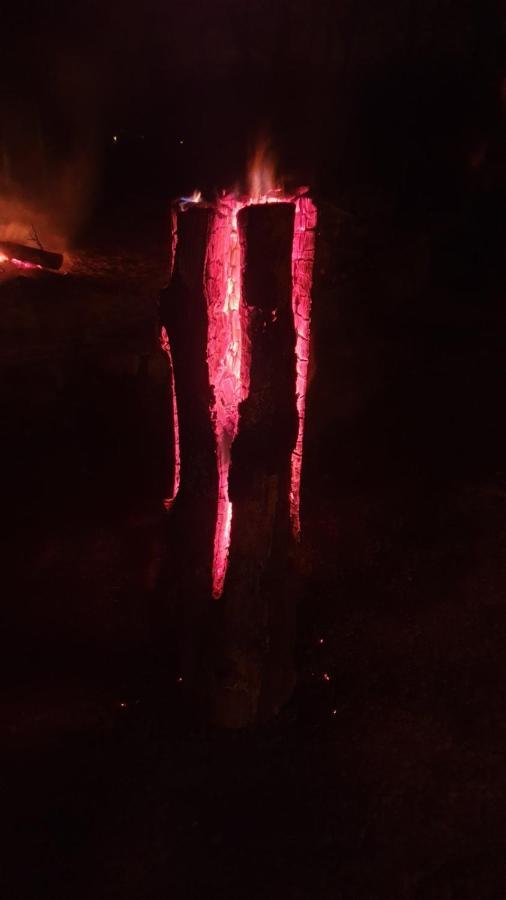 Tulisevica Mary'S Gardenヴィラ エクステリア 写真