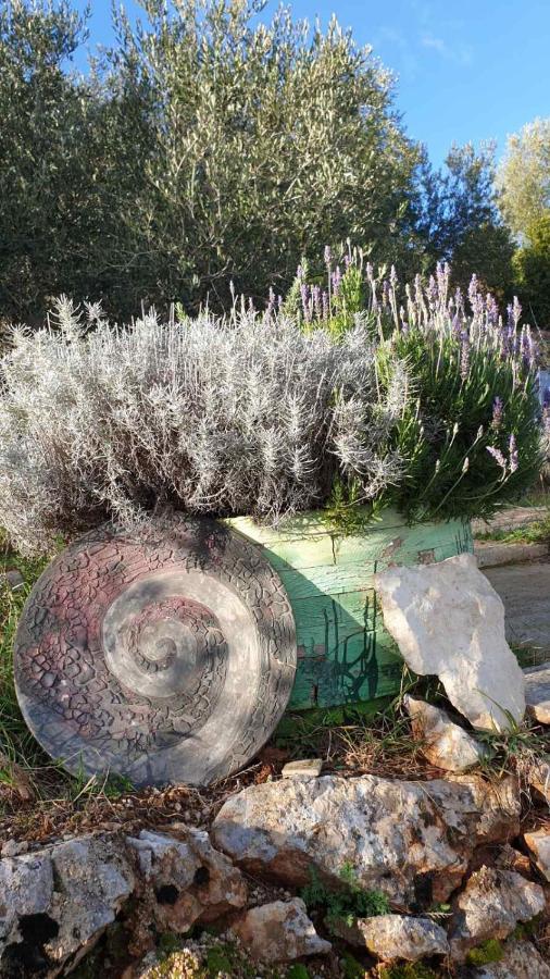 Tulisevica Mary'S Gardenヴィラ エクステリア 写真