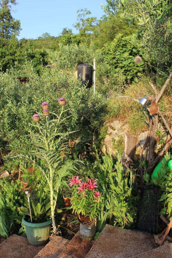 Tulisevica Mary'S Gardenヴィラ エクステリア 写真