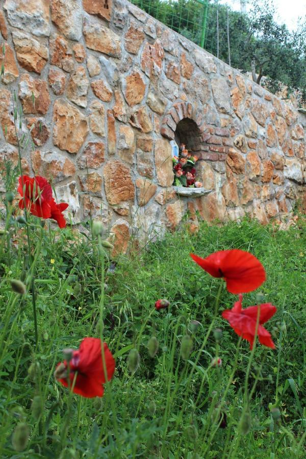 Tulisevica Mary'S Gardenヴィラ エクステリア 写真