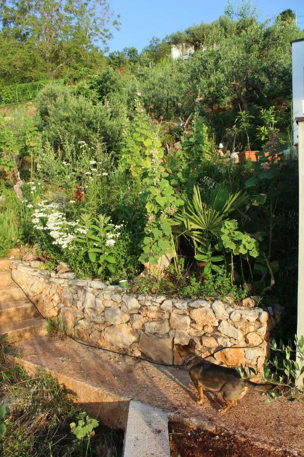 Tulisevica Mary'S Gardenヴィラ エクステリア 写真